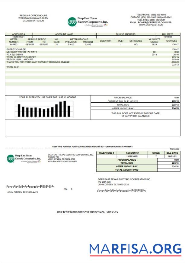 Downloadable USA Deep East Texas Electric utility bill template in Word and PDF format